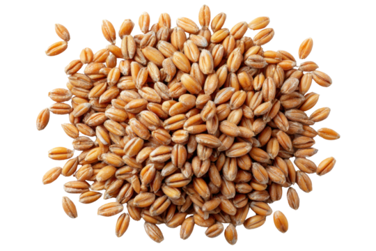 Golden Grain Abundance: A close-up shot of a pile of golden grains, each one radiating a warm, inviting hue, symbolizing nourishment and the bounty of the earth.