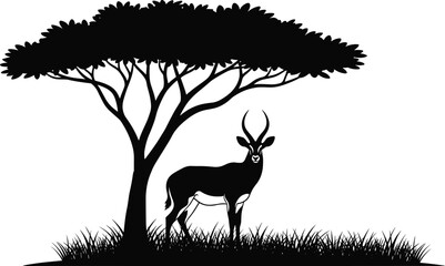 Antelope under acacia tree silhouette, black and white vector illustration for wildlife storytelling, nature themes, and editorial savanna content