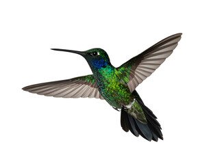 Tiny iridescent green bird hovering mid-air, wings spread wide
