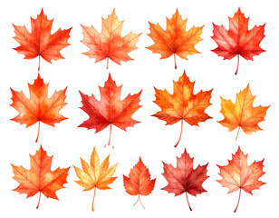 Twelve vibrant watercolor maple leaves, showcasing autumn hues on a dark backdrop