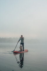 young man with tattooed arms on a sup board with his samoyed dog at the lake during sunset