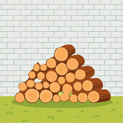 Pile of firewood beside wall