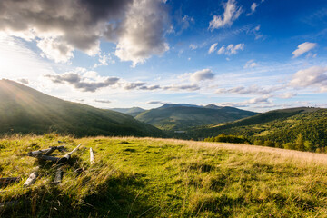 Fototapeta premium beautiful countryside of ukraine. sunny afternoon. wonderful summertime landscape in mountains. scenic view of green grassy field and rolling hills for great background. rural scenery under blue sky.
