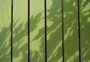 Shadow of palm leaves on a green wooden wall. Natural background.
