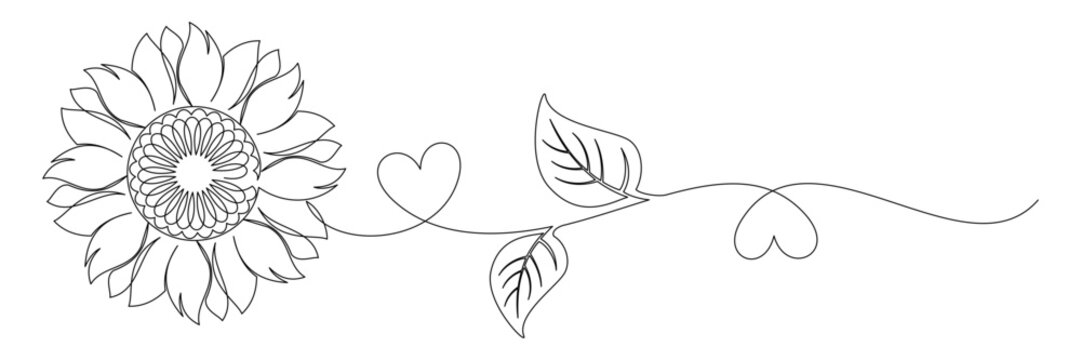 sunflower line art style vector 2.eps
