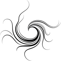 Elegant abstract black swirl vector illustration fluid and organic lines dynamic movement graphic element for beauty and nature design.
