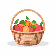 Basket of ripe peaches