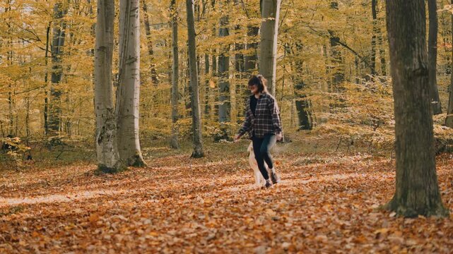 young woman walking and playing with her japanese akita puppy in autumn forest
