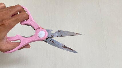 Kitchen scissors with pink handles and rusty metal blades, held by a hand on a light colored plain background. Shows the condition of kitchen equipment that is outdated