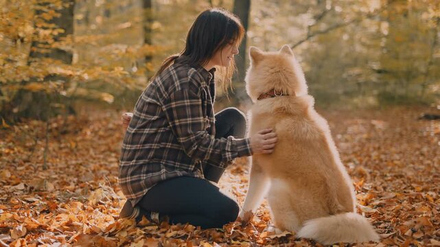 young woman walking and playing with her japanese akita puppy in autumn forest