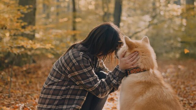 young woman walking and playing with her japanese akita puppy in autumn forest