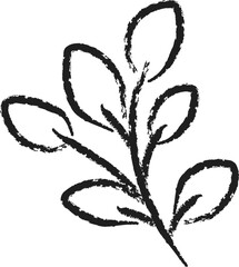 Hand drawn leaf branch doodle icon in black brush strokes, botanical plant sketch, nature line art.