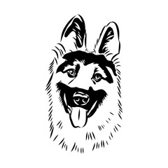 Obraz premium Eastern European shepherd, vector sketch