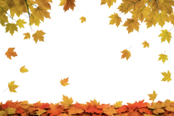 Decorative frame of vibrant autumn maple leaves in shades of yellow and orange with scattered falling leaves throughout. Set on a transparent background, perfect for fall-themed invitations