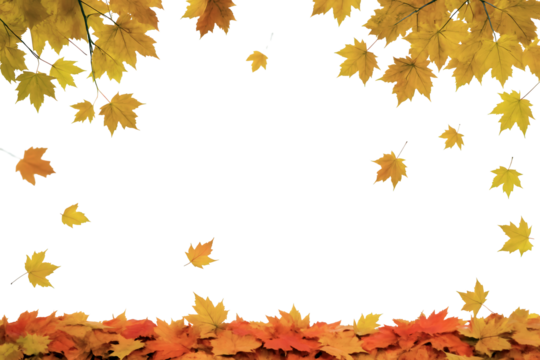 Decorative frame of vibrant autumn maple leaves in shades of yellow and orange with scattered falling leaves throughout. Set on a transparent background, perfect for fall-themed invitations - Powered by Adobe
