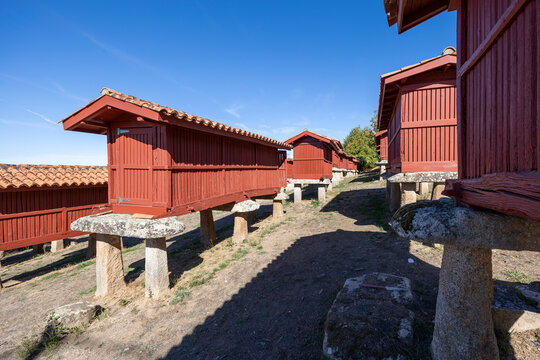 Traditional galician horreos granaries aligned under blue sky