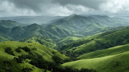 Lush hills with distant animals under overcast skies