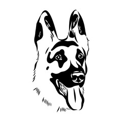 Eastern European shepherd, vector sketch