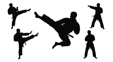 Silhouettes of martial artists practicing dynamic kicks and poses in black