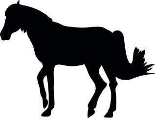 Black silhouette of horse isolated on white background