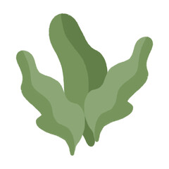 Green Tropical Leaf Illustration PNG Transparent