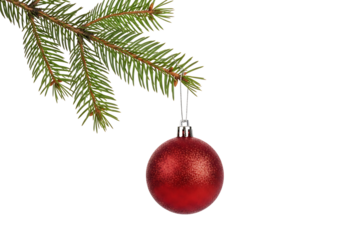 Red Christmas Ornament on Evergreen Branch Transparent PNG