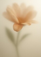 Fototapeta premium Soft blurred flower elegance