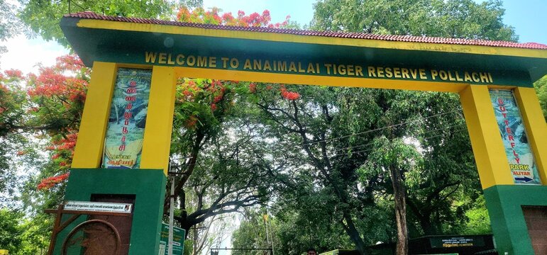 Pollachi, Tamilnadu, India - June 7, 2025: Visitors arriving at the entrance of Anamalai Tiger Reserve checkpost in Pollachi, known for its rich biodiversity and scenic forest landscapes