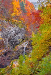 National Park of Abruzzo, Lazio and Molise (Italy) - The autumn with foliage in the mountain natural reserve, with Scanno lake, Camosciara and Villetta Barrea landmark.
