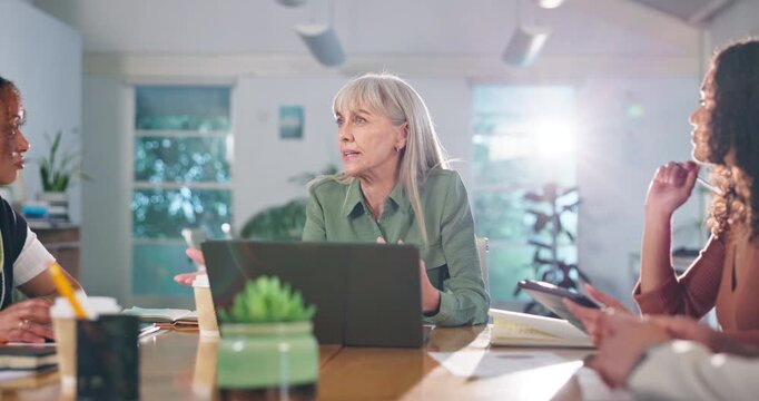 Woman, pitch and creative business meeting in office, discussion and hand gesture for strategy with laptop. Online, project and website launch idea for company planning, design agency and manager