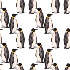 Fototapeta premium Emperor penguin. Seamless watercolor pattern with emperor penguins isolated on white. Realistic design with penguin for children illustration, backgrounds, packaging, decoration, banner