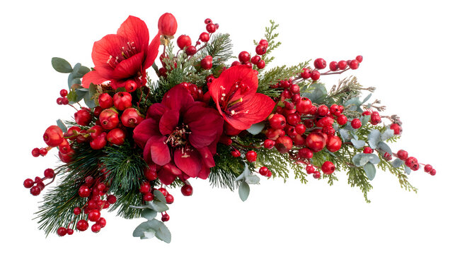Christmas corner floral arrangement with pine leaves and red flowers isolated on white background