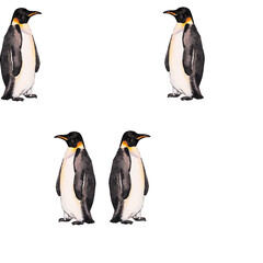 Obraz premium Emperor penguin. Seamless watercolor pattern with emperor penguins isolated on white. Realistic design with penguin for children illustration, backgrounds, packaging, decoration, banner