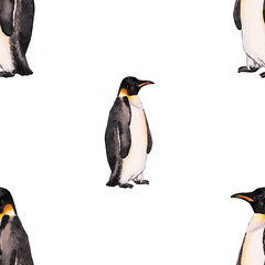 Emperor penguin. Seamless watercolor pattern with emperor penguins isolated on white. Realistic design with penguin for children illustration, backgrounds, packaging, decoration, banner