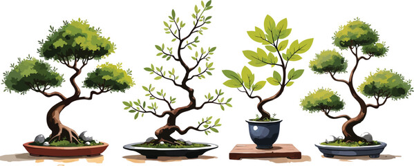 Set of Detailed Bonsai Trees Illustrations in Various Styles and Shapes