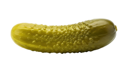 Isolated Pickled Cucumber or Dill Pickle, a Sour, Pickled Cucumber with Bumps on its Skin