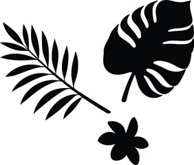 Tropical foliage design with palm frond monstera leaf and flower silhouette © Begum