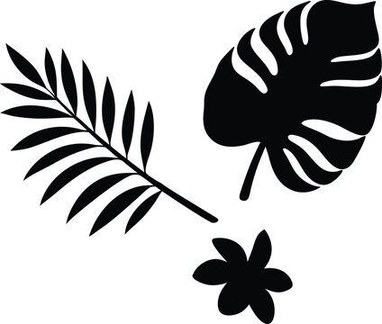 Tropical foliage design with palm frond monstera leaf and flower silhouette
