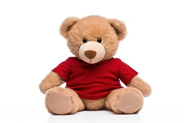 Obraz premium Plush bear toy white background.