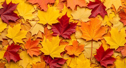 Autumn's Colorful Canvas: A close-up shot of a vibrant tapestry of fallen autumn leaves, showcasing the natural beauty of the season.
