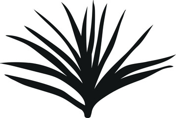 Fototapeta premium Black silhouette of pineapple plant (Ananas comosus) isolated on white background