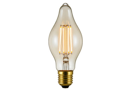 Isolated decorative light bulb with vintage style filaments and brass base, design element - Powered by Adobe