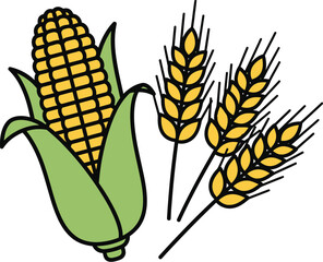Corn and wheat, a symbol of harvest season