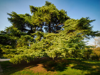 Autumn at Parco Sempione, Milan