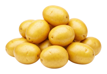 Isolated pile of yellow potatoes ready for cooking a side dish or potato salad recipe