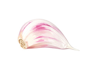Isolated detailed watercolor illustration of a single garlic clove, fresh and clean