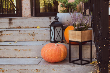 Colorful pumpkins and plants decorate the steps of a cozy home in autumn