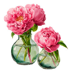 A 2D design Vector illustration, My Watercolor, hand-painted, simple, set of pink peonies in vases painting illustration isolated on a white background, EPS format design. vector set