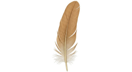Isolated brown feather, light and delicate, single quill with fine barbs, nature concept