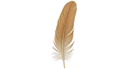 Isolated brown feather, light and delicate, single quill with fine barbs, nature concept